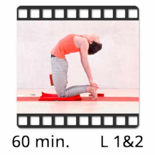 Yoga Video kaufen Download
