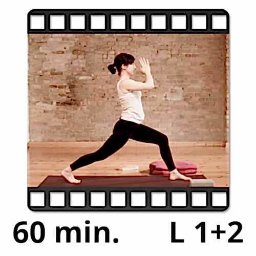 yoga video sandra winkens yogafürdich