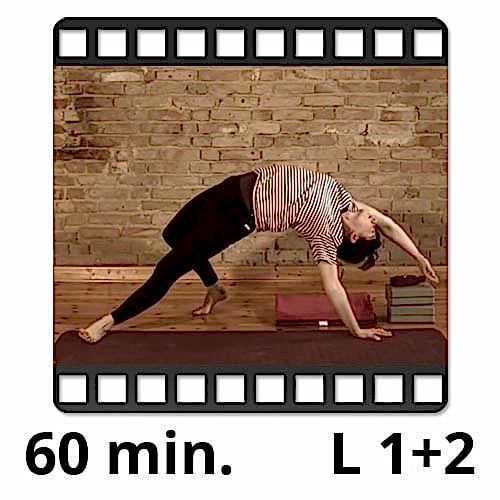yogafürdich yoga video sandra winkens