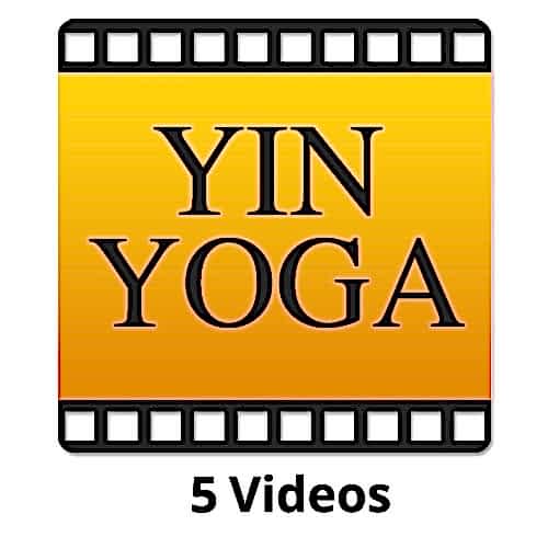 Yin Yoga Videos yogafürdich