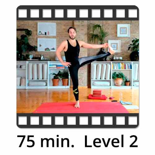 Download Yoga Video Power Vinyasa Flow Level 2 Mate Granic