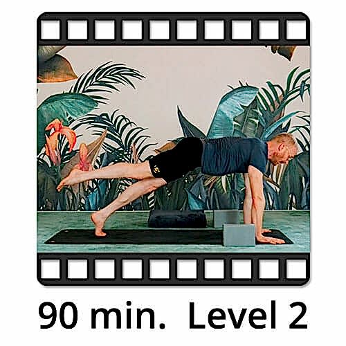 Download Yoga Video Power Vinyasa Flow Level 2 Victor Thiele