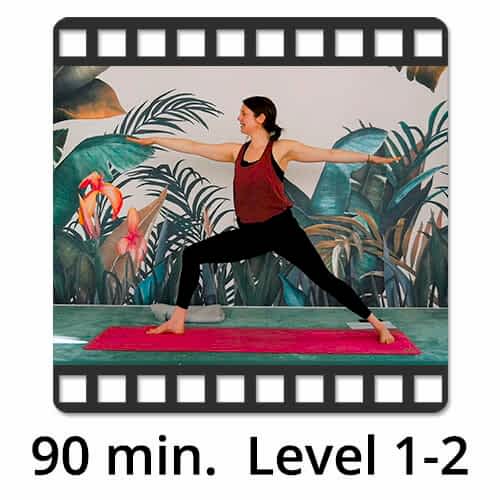 Download Yoga Video Power Vinyasa Flow Level 1-2 Katharina Knoll