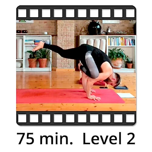 Download Yoga Video Power Vinyasa Flow Level 2 Mate Granic
