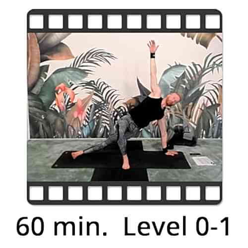 Download Yoga Video Power Vinyasa Flow Level 0-1 Victor Thiele