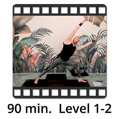 Download Yoga Video Power Vinyasa Flow Level 1-2 Victor Thiele