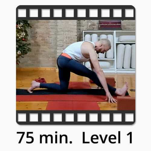 Download Yoga Video Power Vinyasa Flow Level 2 Victor Thiele