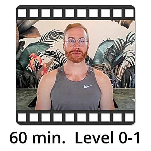 Download Yoga Video Power Vinyasa Flow Level 0-1 Victor Thiele