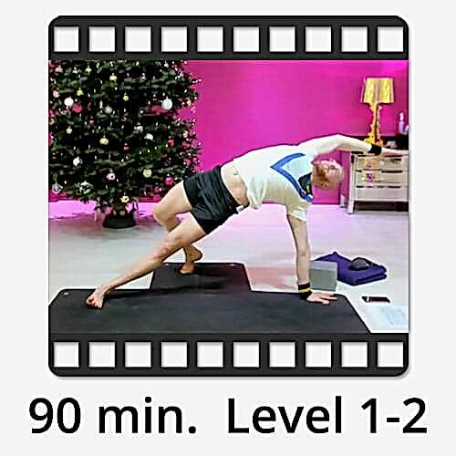 Download Yoga Video Power Vinyasa Flow Level 1-2 Victor Thiele
