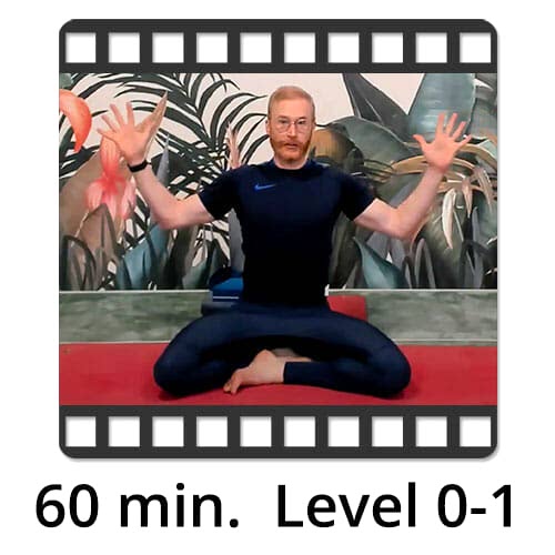 Download Yoga Video Power Vinyasa Flow Level 0-1 Victor Thiele