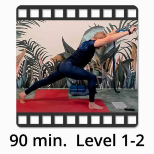 Download Yoga Video Power Vinyasa Flow Level 0-1 Victor Thiele