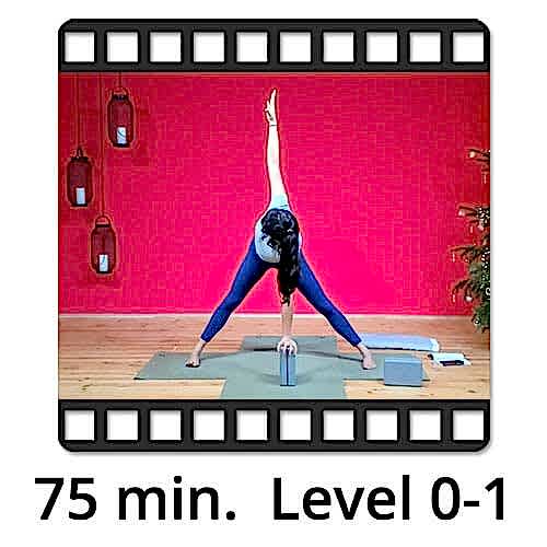 Download Yoga Video Power Vinyasa Flow Level 1-2 Lina Alonso