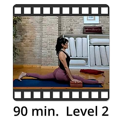 Download Yoga Video Power Vinyasa Flow Level 1-2 Lina Alonso