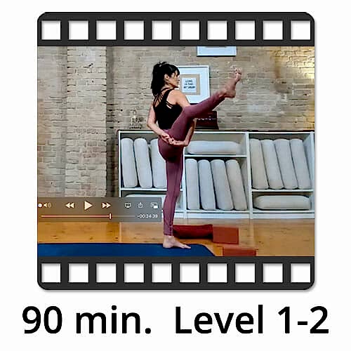 Download Yoga Video Power Vinyasa Flow Level 1-2 Lina Alonso