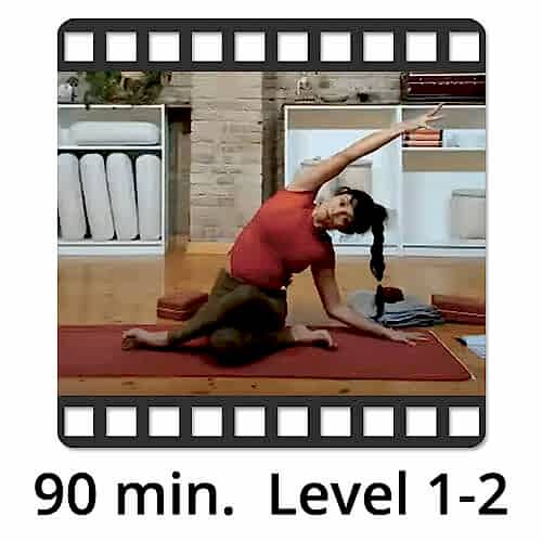 Download Yoga Video Power Vinyasa Flow Level 1-2 Lina Alonso