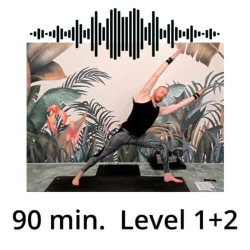 Download Yoga Audio Power Vinyasa Flow Level 1-2 Victor Thiele