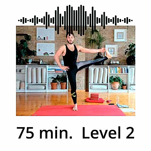 Download Yoga MP3 Power Vinyasa Flow Level 2 Mate Granic