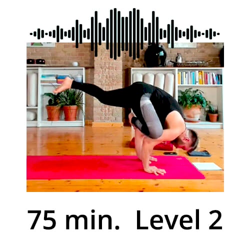 Download Yoga Audio Power Vinyasa Flow Level 2 Mate Granic