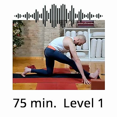 Download Yoga Audio Power Vinyasa Flow Level 1 Victor Thiele