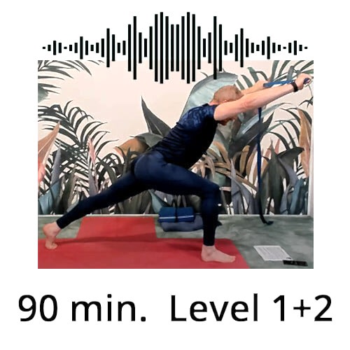 Download Yoga Audio Power Vinyasa Flow Level 1-2 Victor Thiele