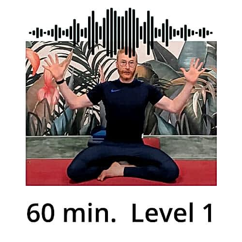 Download Yoga Audio Power Vinyasa Flow Level 1 Victor Thiele