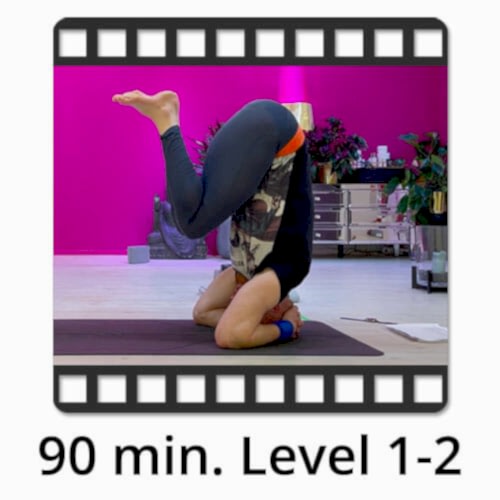 Download Yoga Video Power Vinyasa Flow Victor Thiele