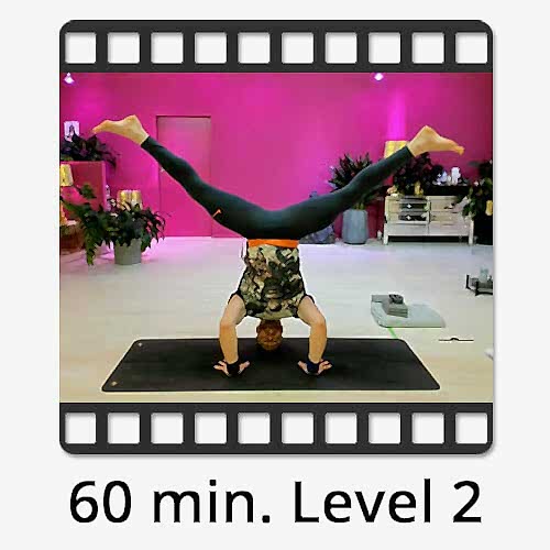Download Yoga Video Power Vinyasa Flow Victor Thiele